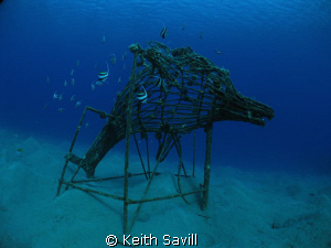 Dolphin shaped artifical reef with Bannerfish by Keith Savill 